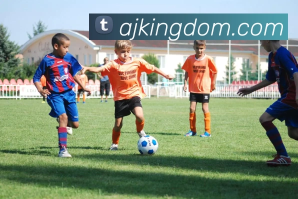 米兰体育在线网站平台生态图